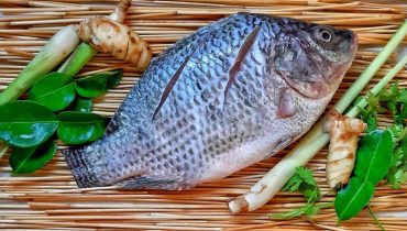 Manfaat Ikan Nila untuk Kesehatan Ternyata Cukup Banyak
